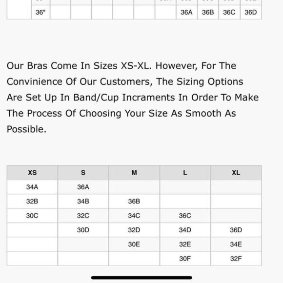 NWT God Save Queens Exclusive Laila Shimmer Velvet Sheer Panel Bralette in Black - Picture 11 of 12